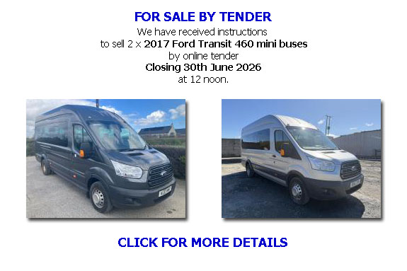 Mini bus